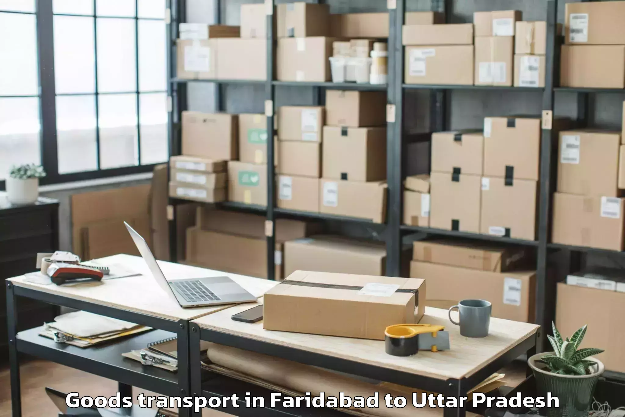 Professional Faridabad to Rudauli Goods Transport